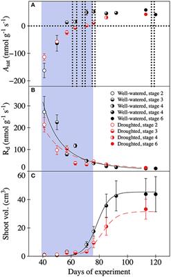 Springtime Drought Shifts Carbon Partitioning of Recent Photosynthates in 10-Year Old Picea mariana Trees, Causing Restricted Canopy Development